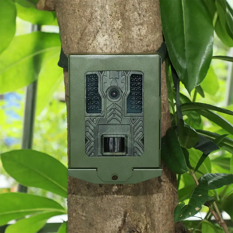 Hunting Trail Camera