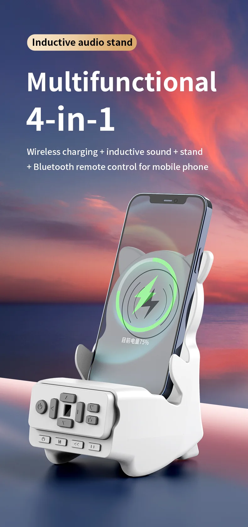 Wireless Charger
