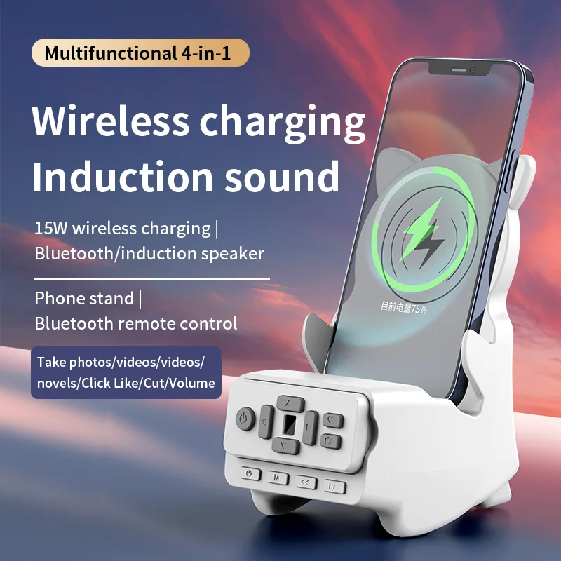 Wireless Charger